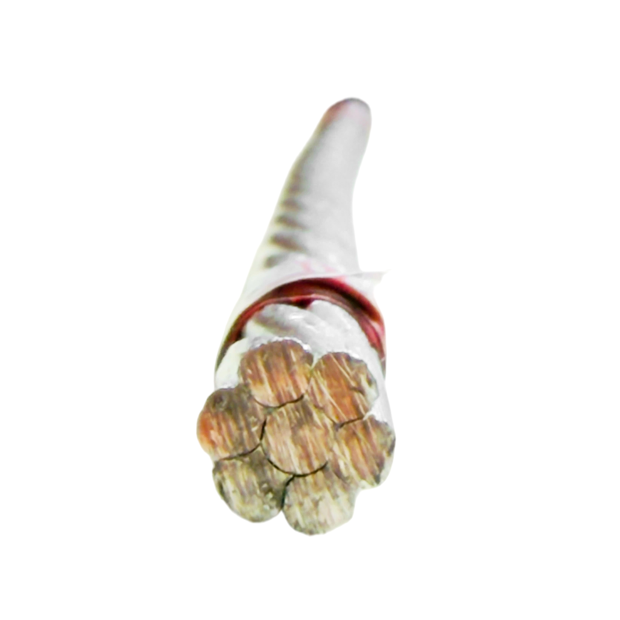 All Aluminium Conductor (AAC) — view 18
