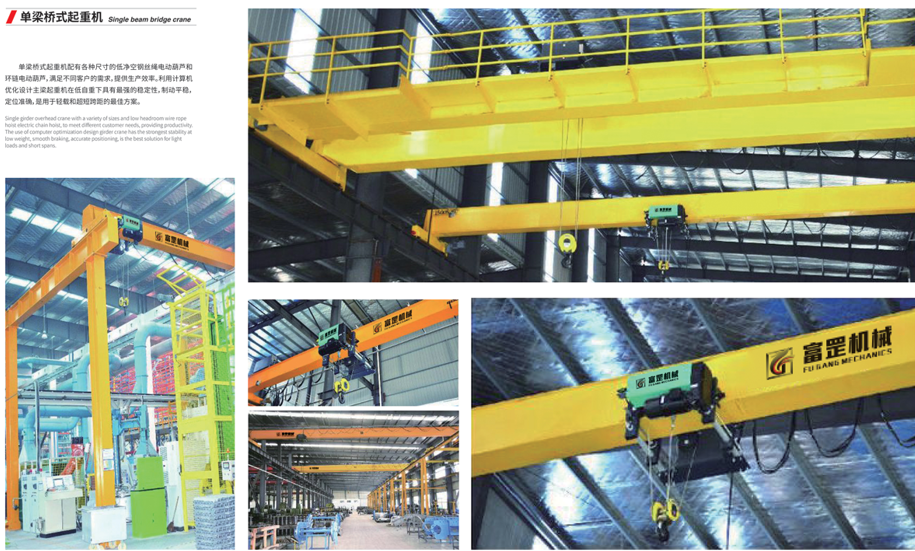 Bridge Cranes