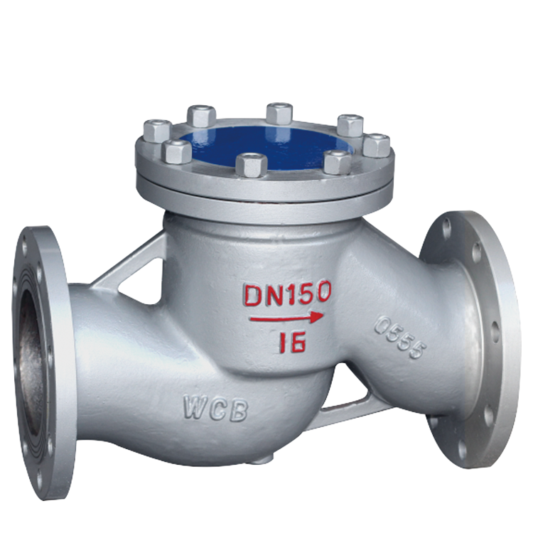 Check Valve — view 1
