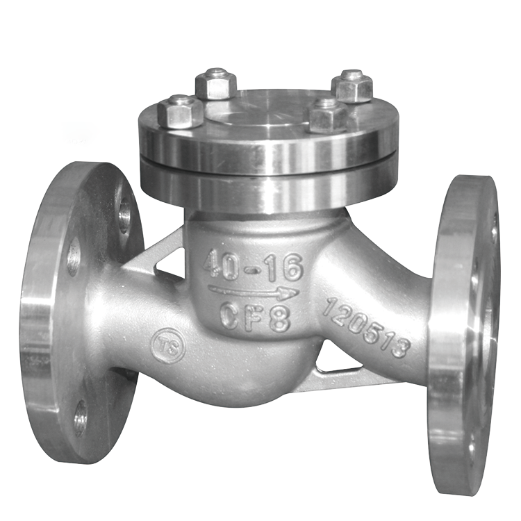 Check Valve thumbnail 3