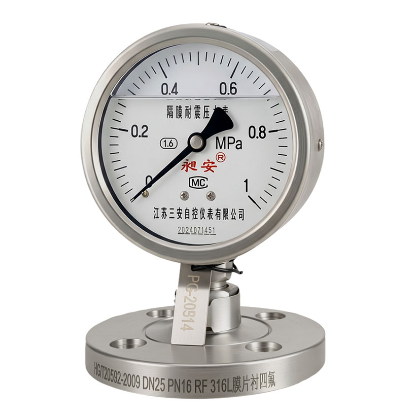 Pressure Gauge — view 1