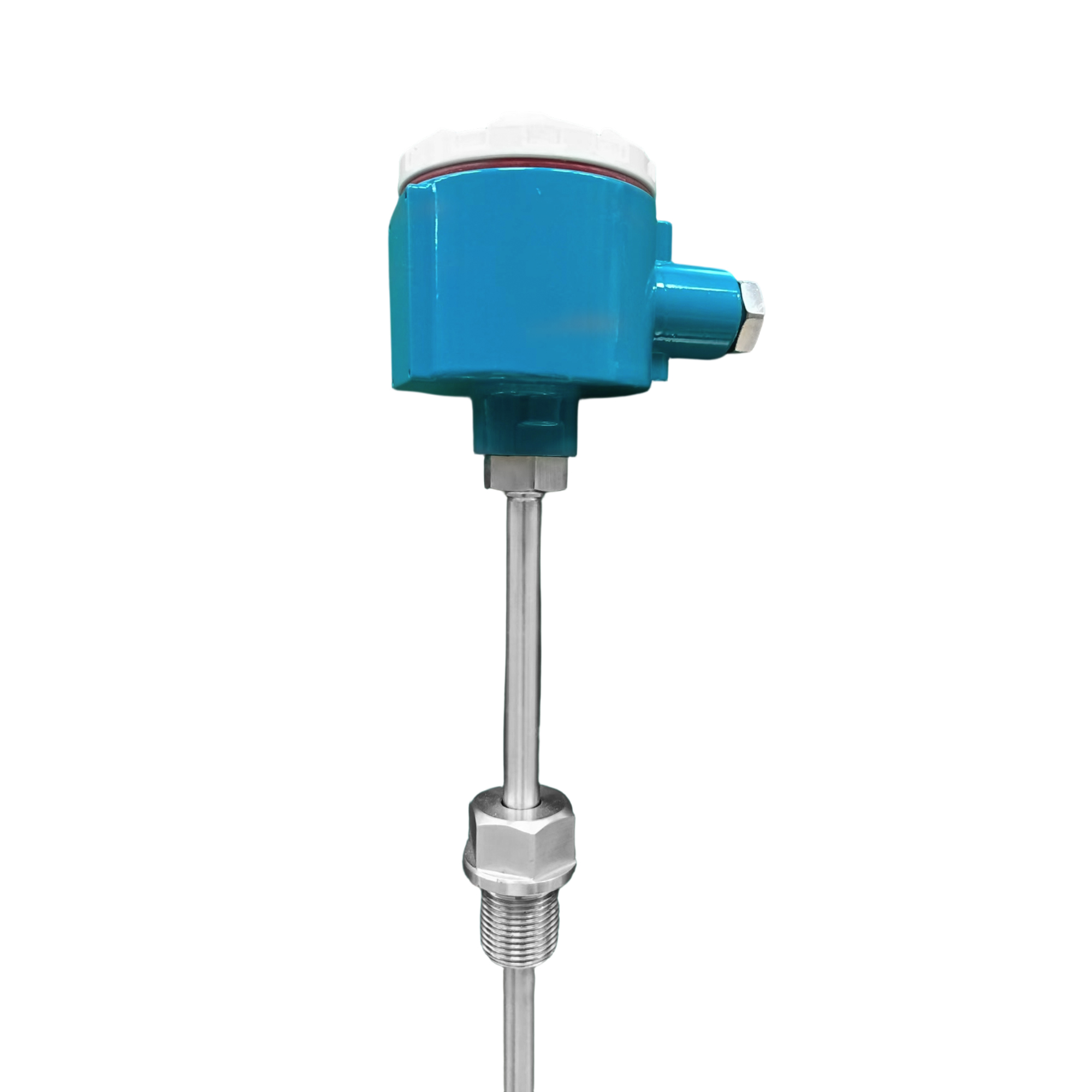 RTD Temperature Sensor