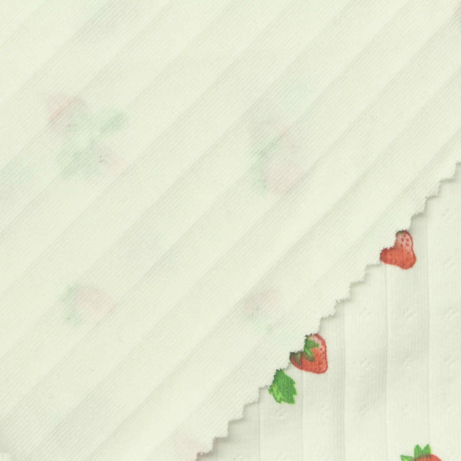Nylon Rib