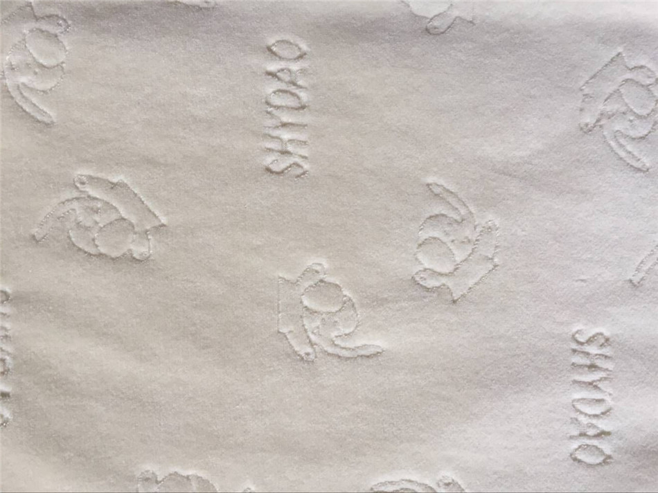 Paisley Velvet Jacquard
