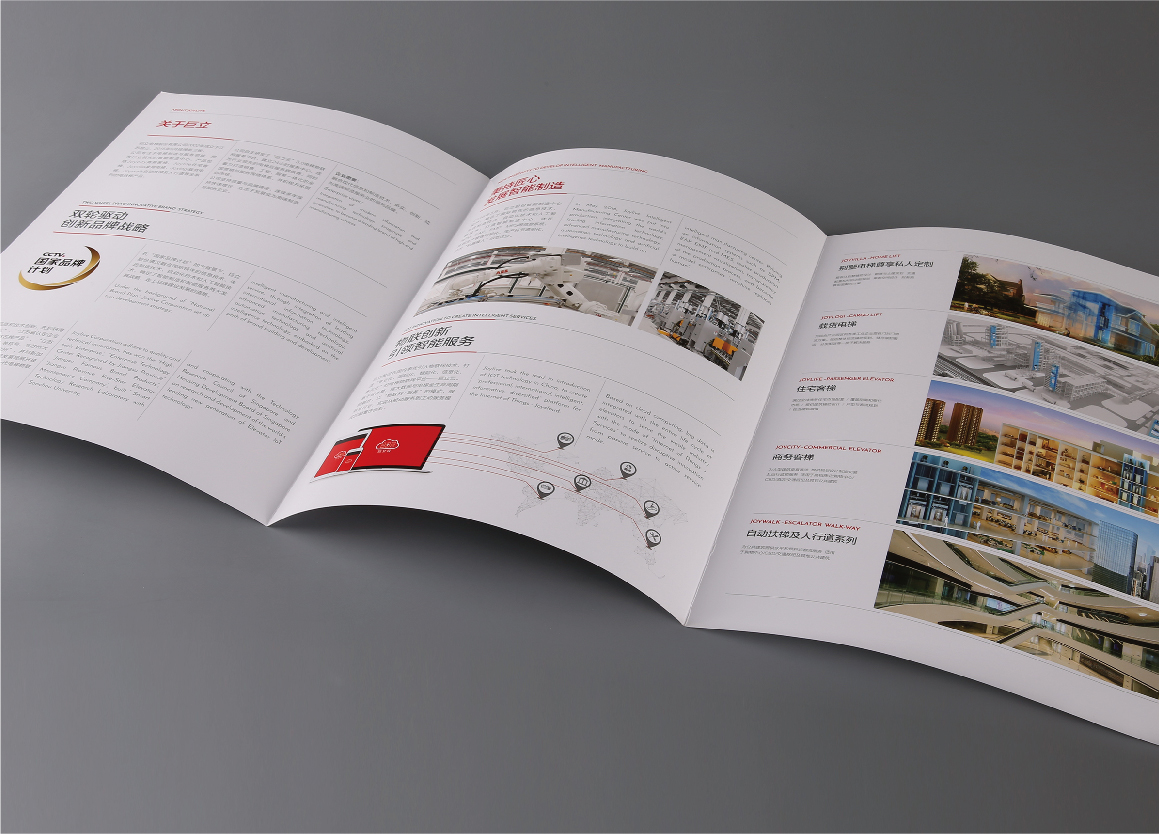 Flyer Printing