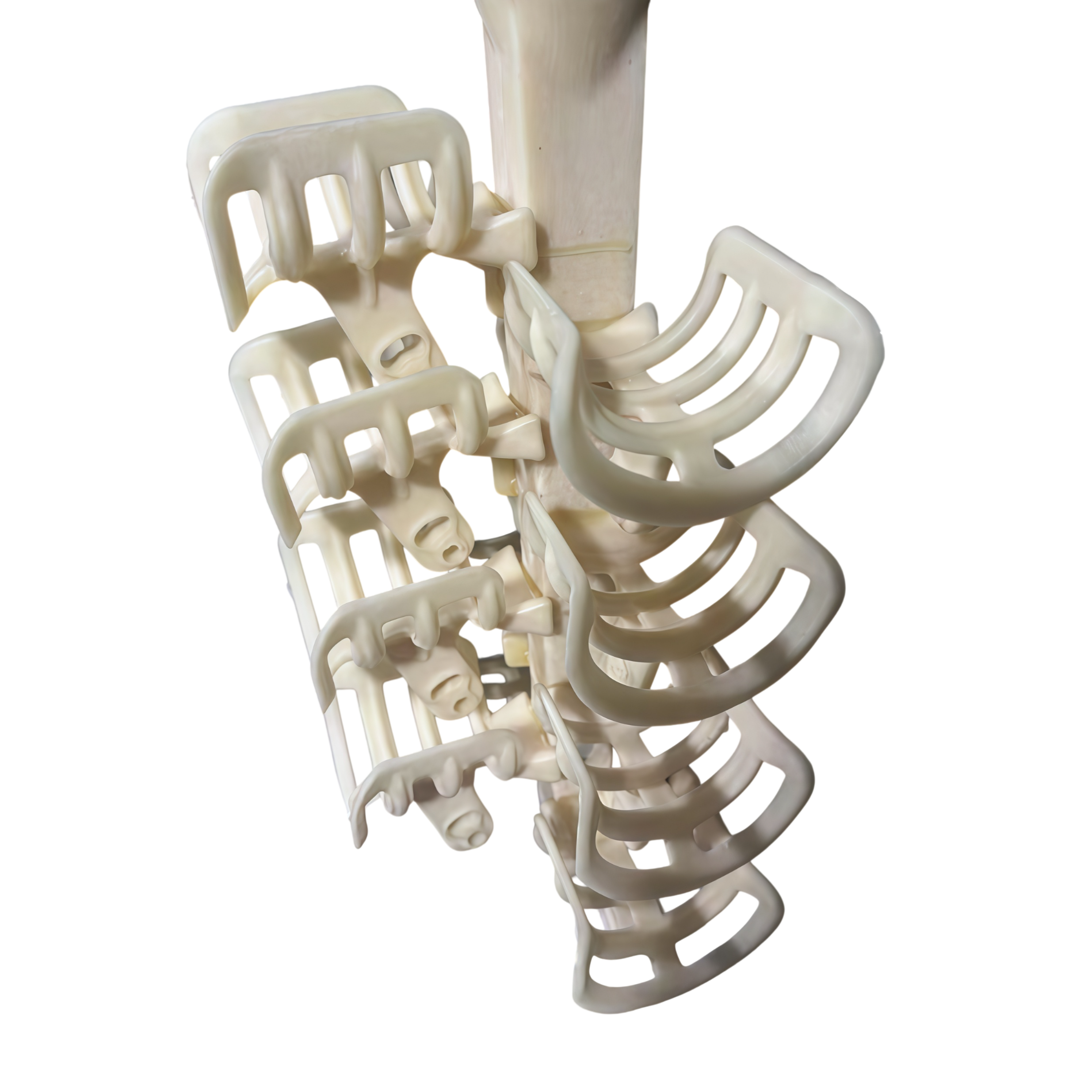 Scanner Placement Rack — view 2