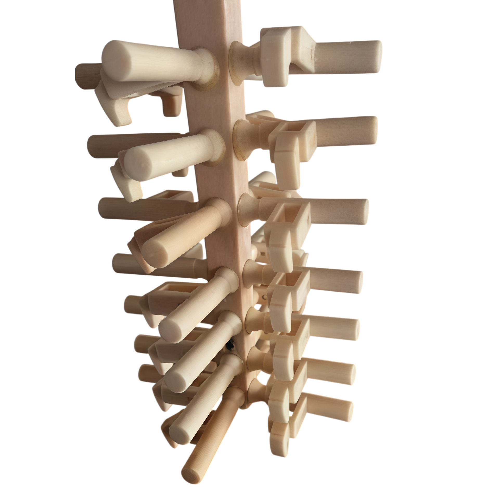 Cage — view 2