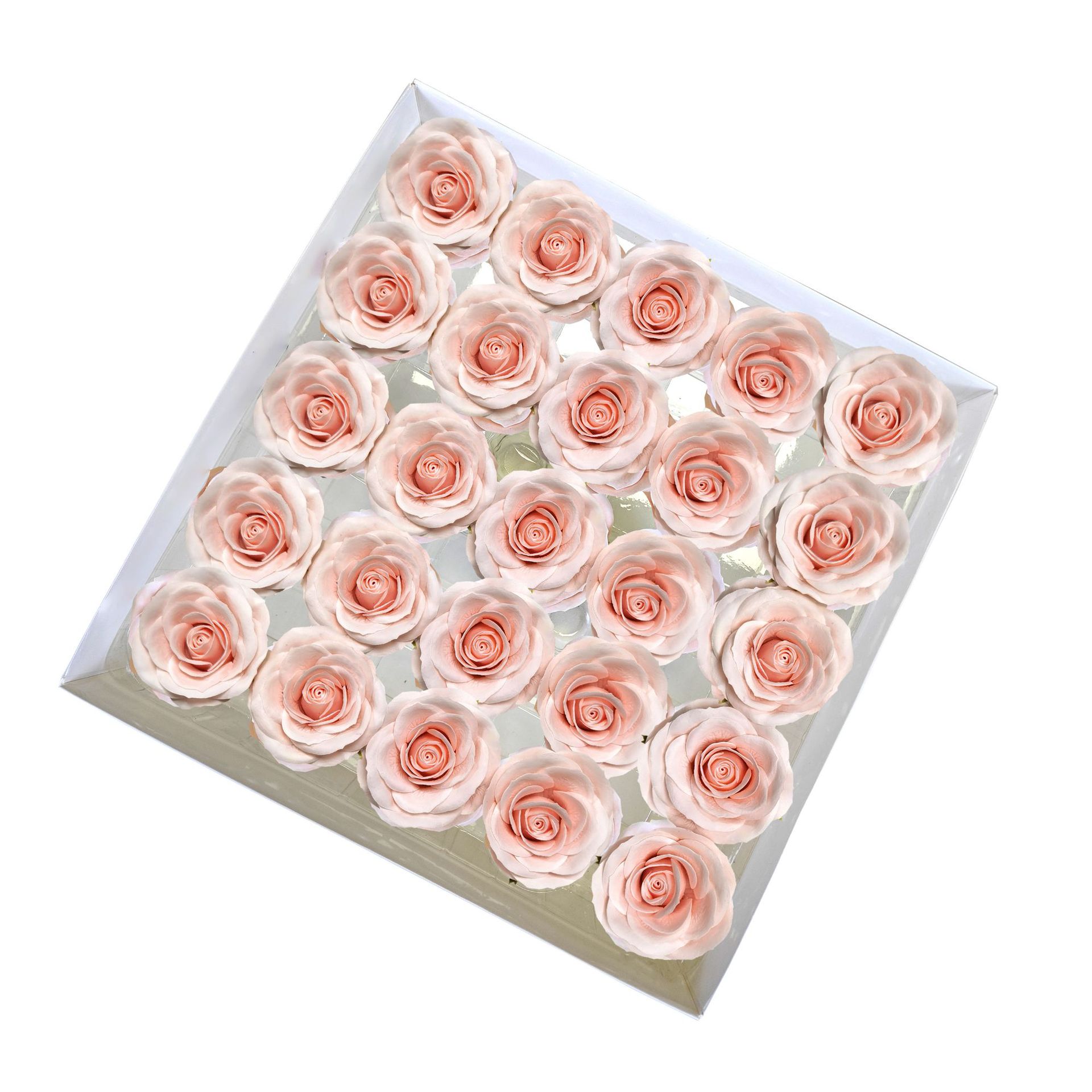 Tray of rose heads in cream, peach and amber tones