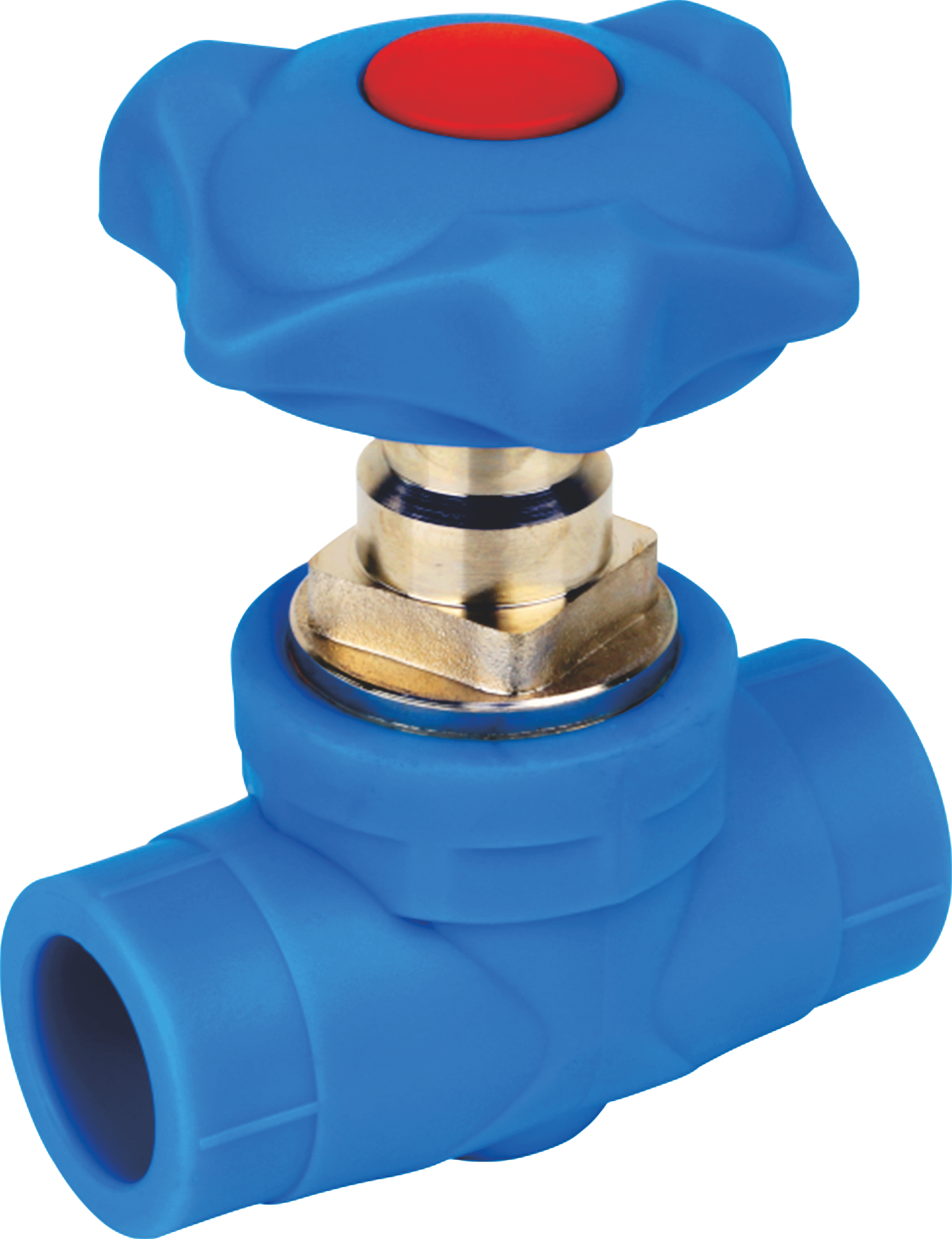 Gate Valve product photograph