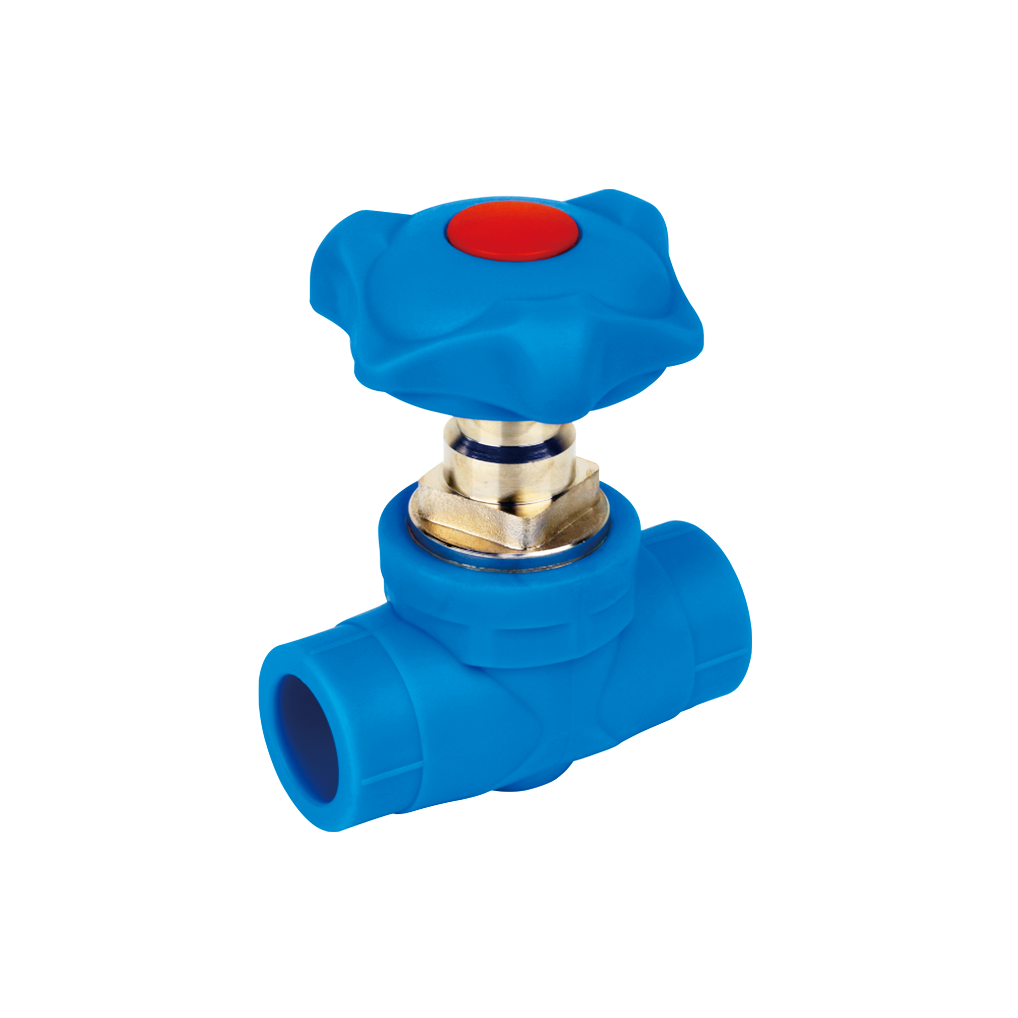 Gate Valve product photograph