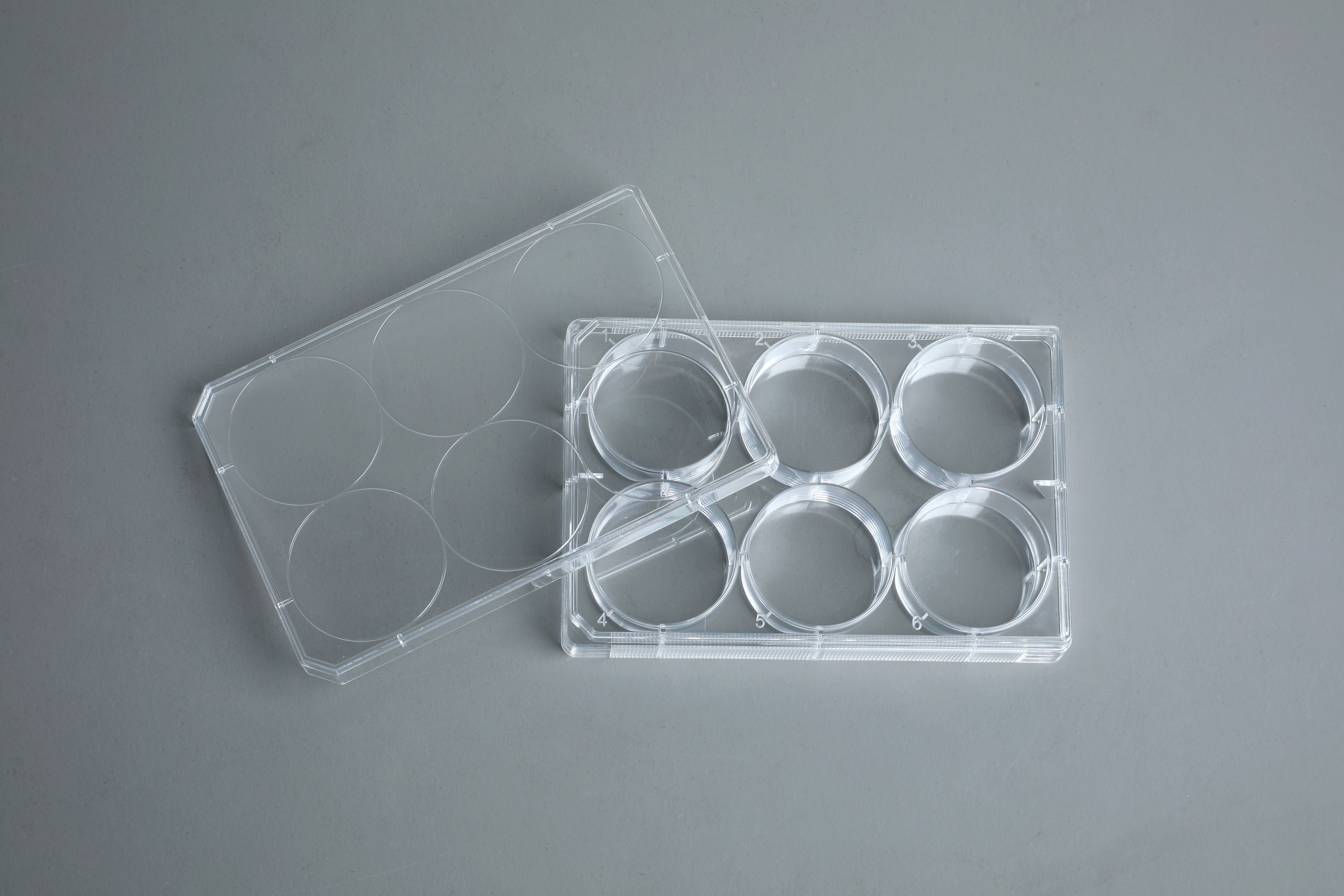 TC-Treated Cell Culture Plates detail view