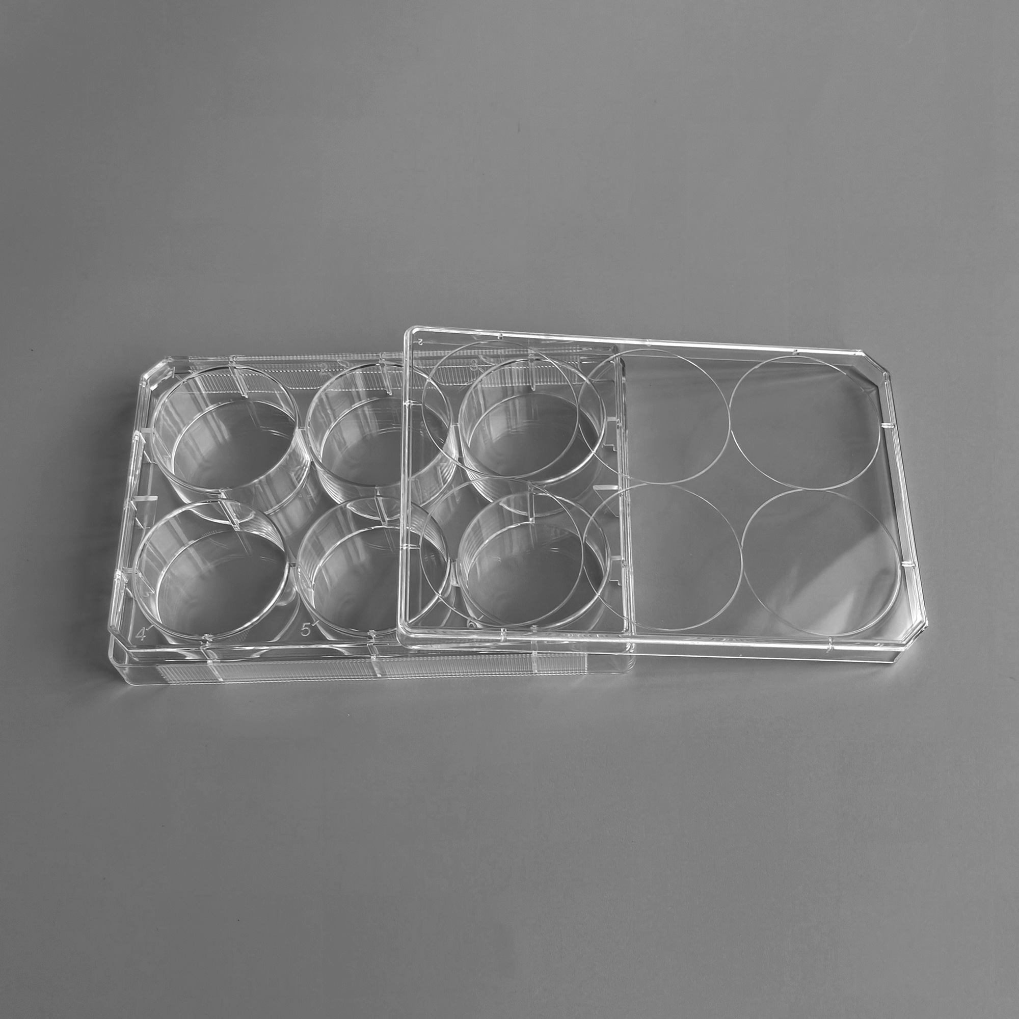 Cell Scrapers