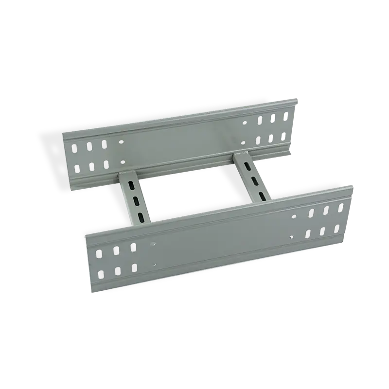 spray-plastic-cable-ladder