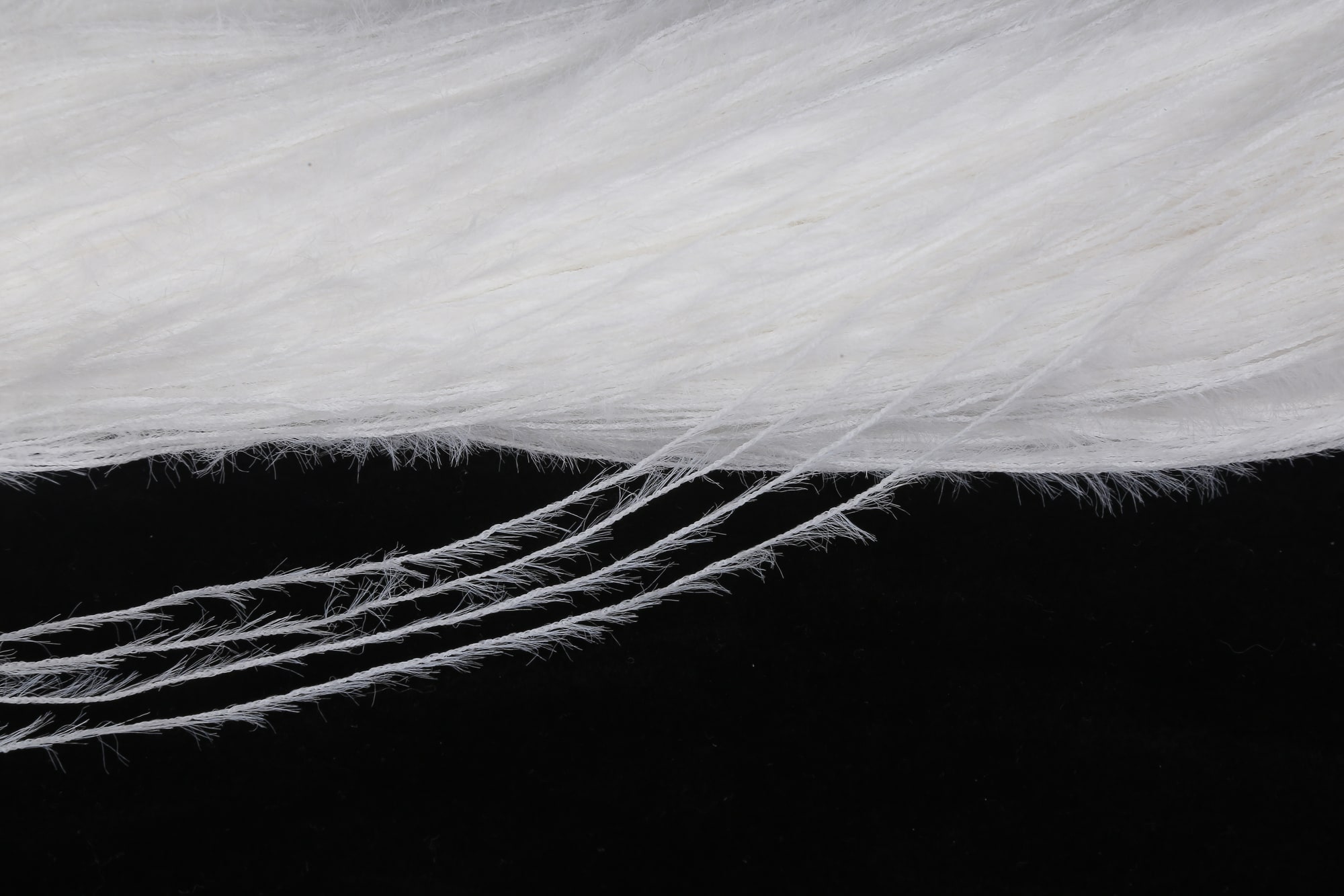 Feather Yarn, photograph 21