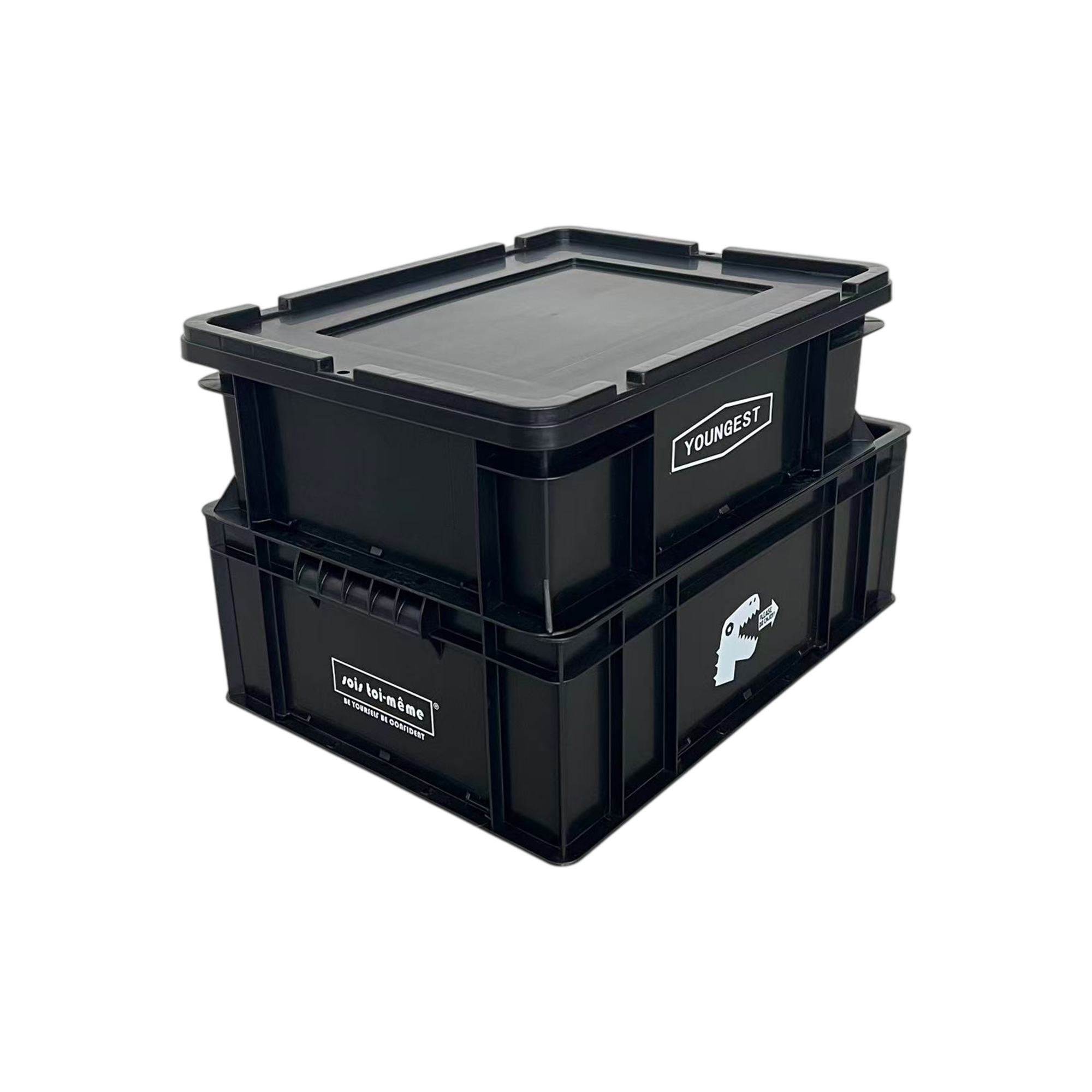 Conductive Logistics Box, view 3