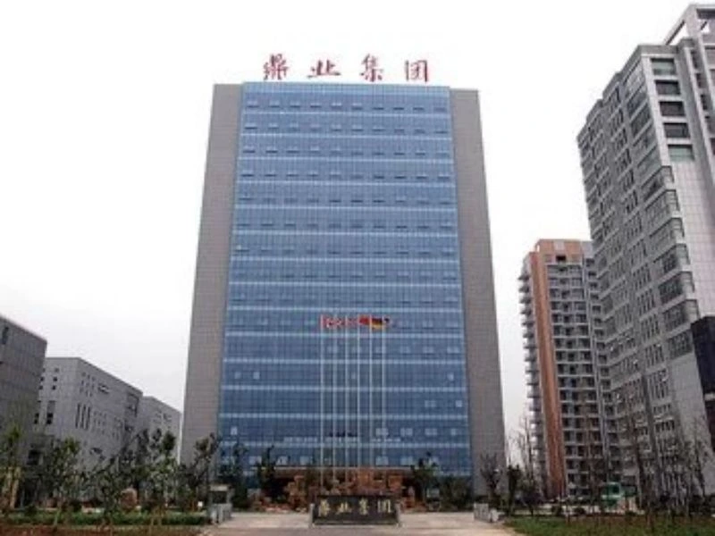 Dingye Group — project view