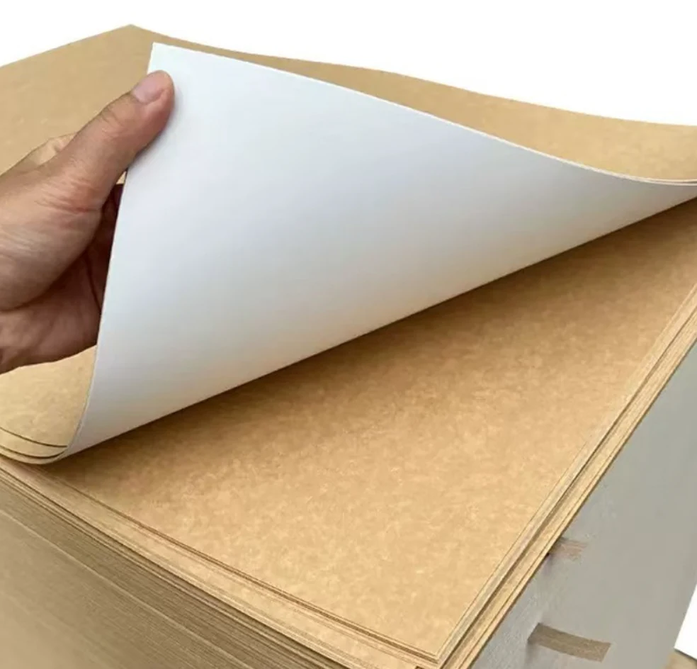 Coated Kraft Liner Board in Sheets — Dimensions on request