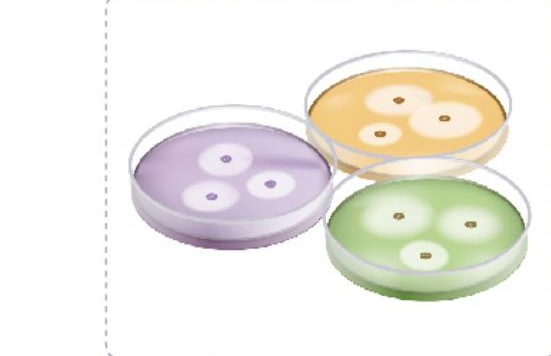 Antimicrobial Susceptibility Test Discs detail view