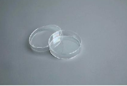 Collagen Type I-Coated Cell Culture Dish detail view