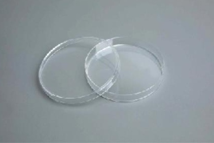 Silk Fibroin-Coated Cell Culture Dish customer view 2