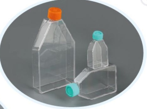Silk Fibroin-Coated Cell Culture Flask