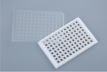 Clear-Bottom Cell Culture Imaging Plate