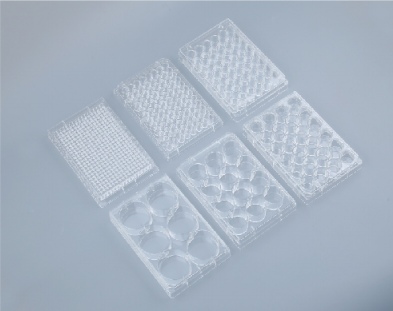 Ultra-Low Attachment Cell Culture Plate