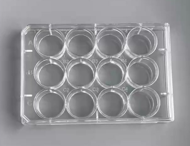 12-Well Cell Screening Kit