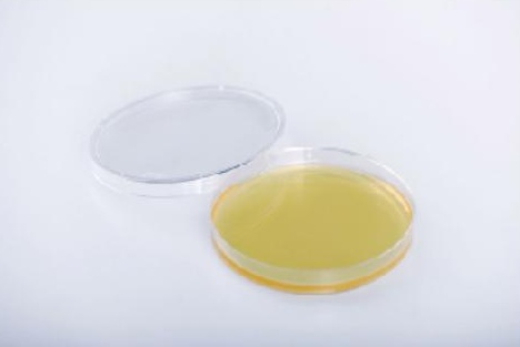 In Vitro Diagnostic Reagent and Culture Medium customer view 2