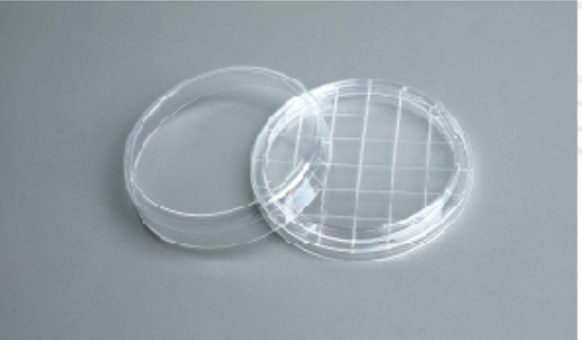 Petri Dish customer view 3