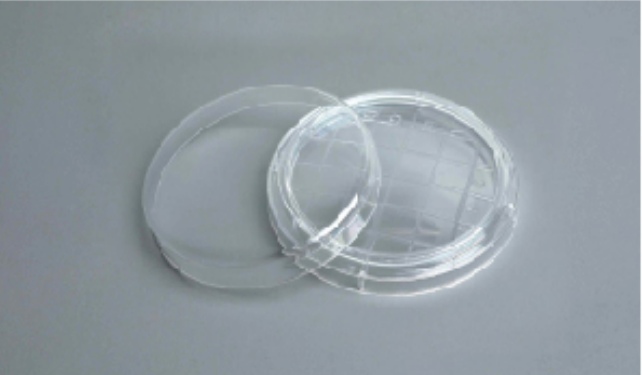 Petri Dish customer view 2