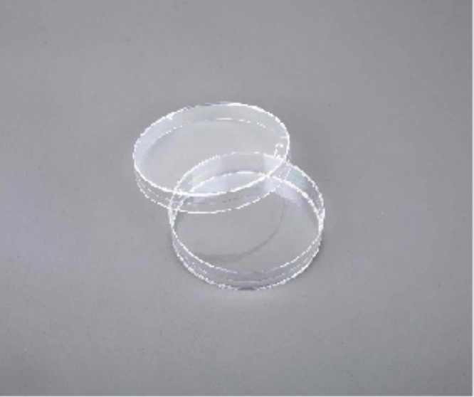 Petri Dish customer view 4