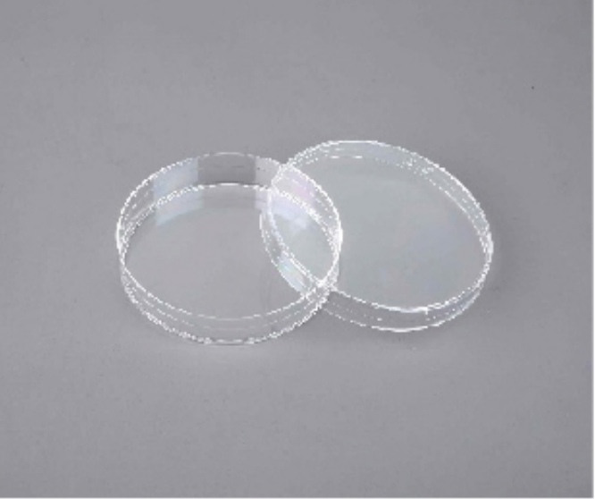Petri Dish customer view 5