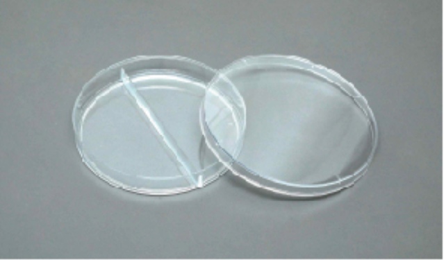 Petri Dish customer view 7