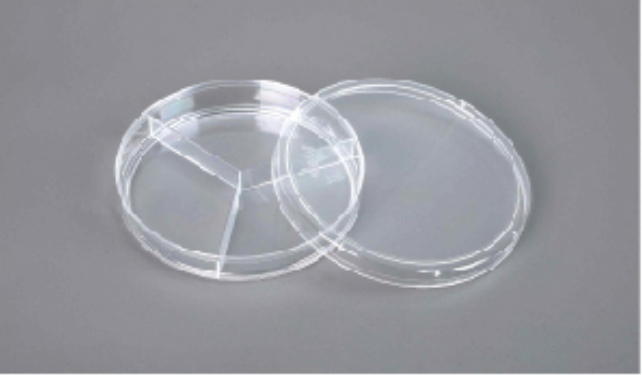 Petri Dish customer view 8