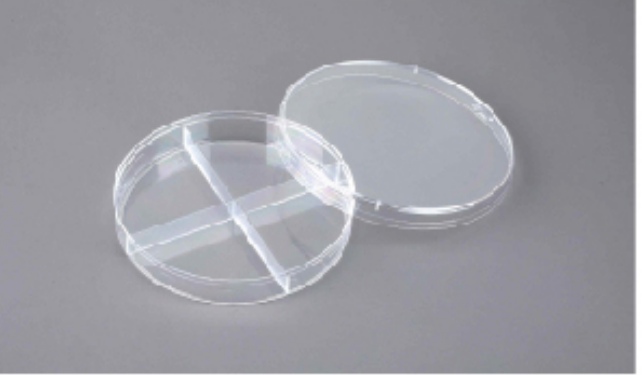 Petri Dish customer view 9