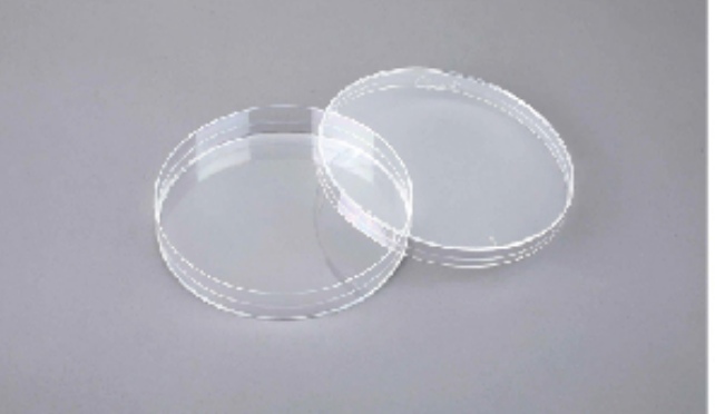 Petri Dish