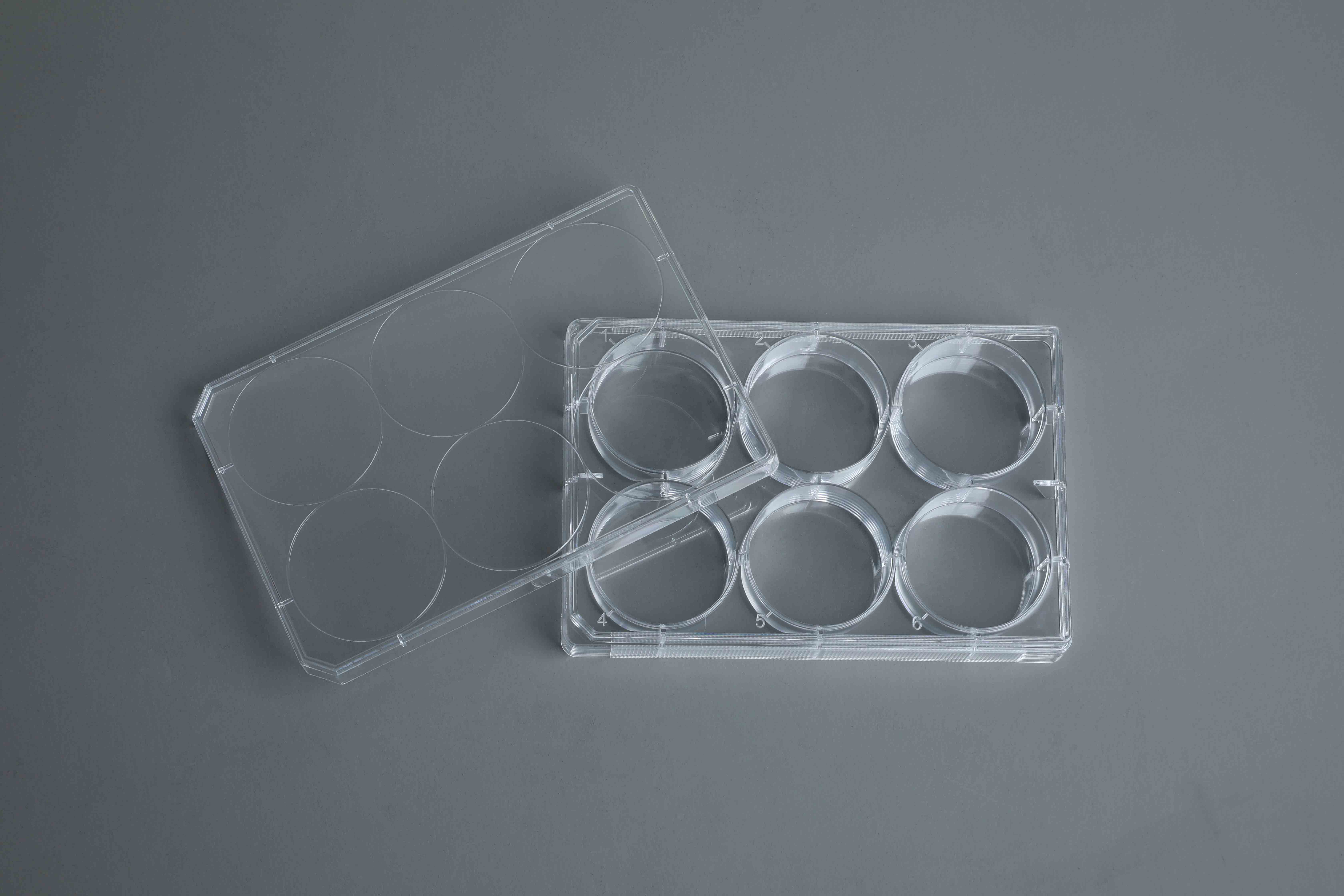 TC-Treated Cell Culture Plate customer view 27