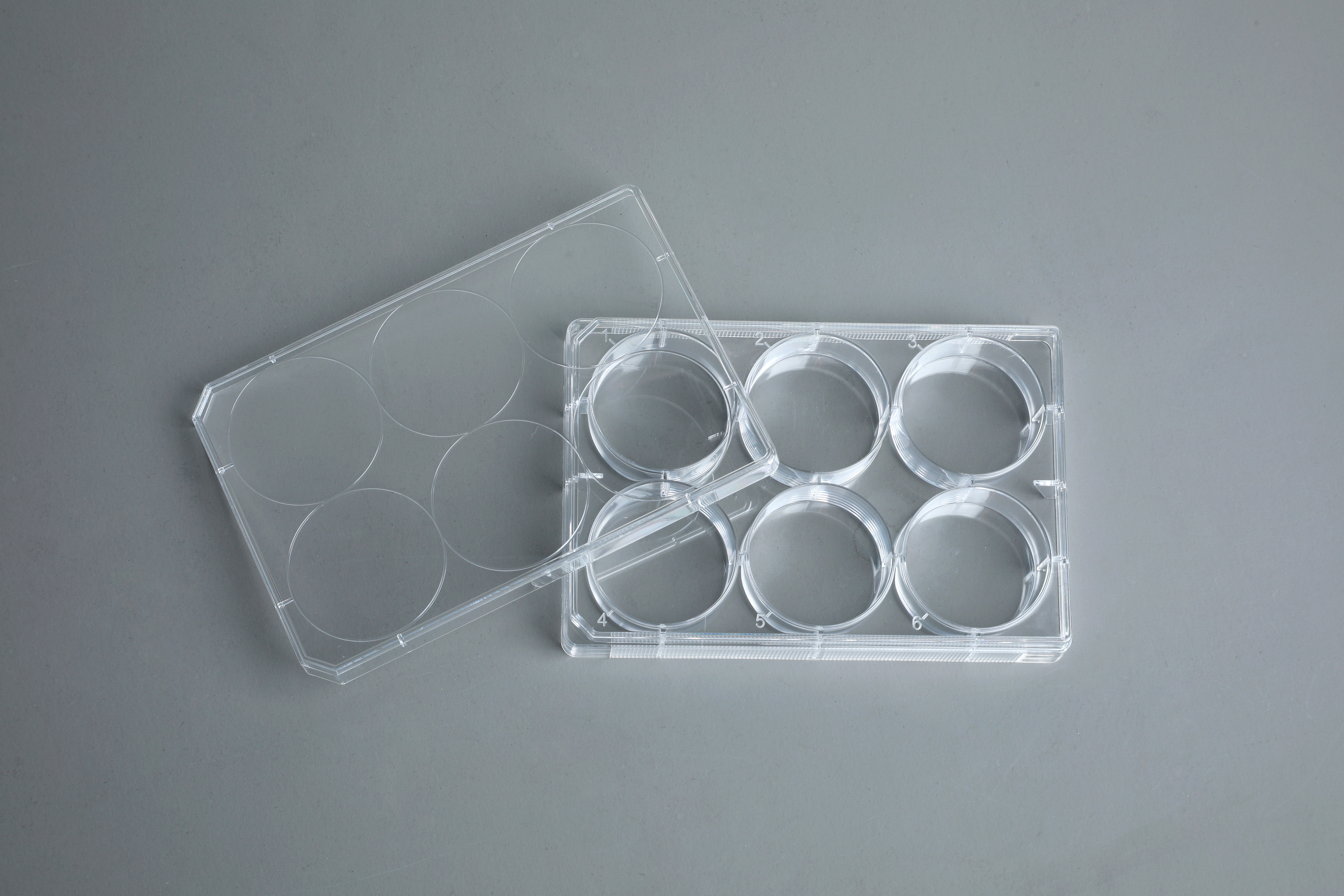 TC-Treated Cell Culture Plate customer view 20