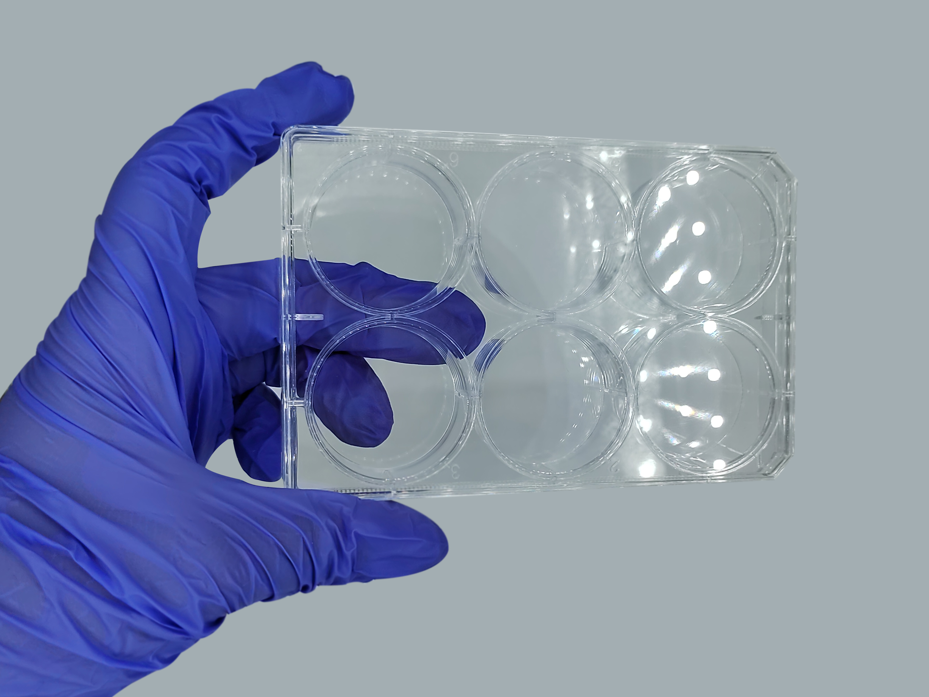 TC-Treated Cell Culture Plate customer view 21