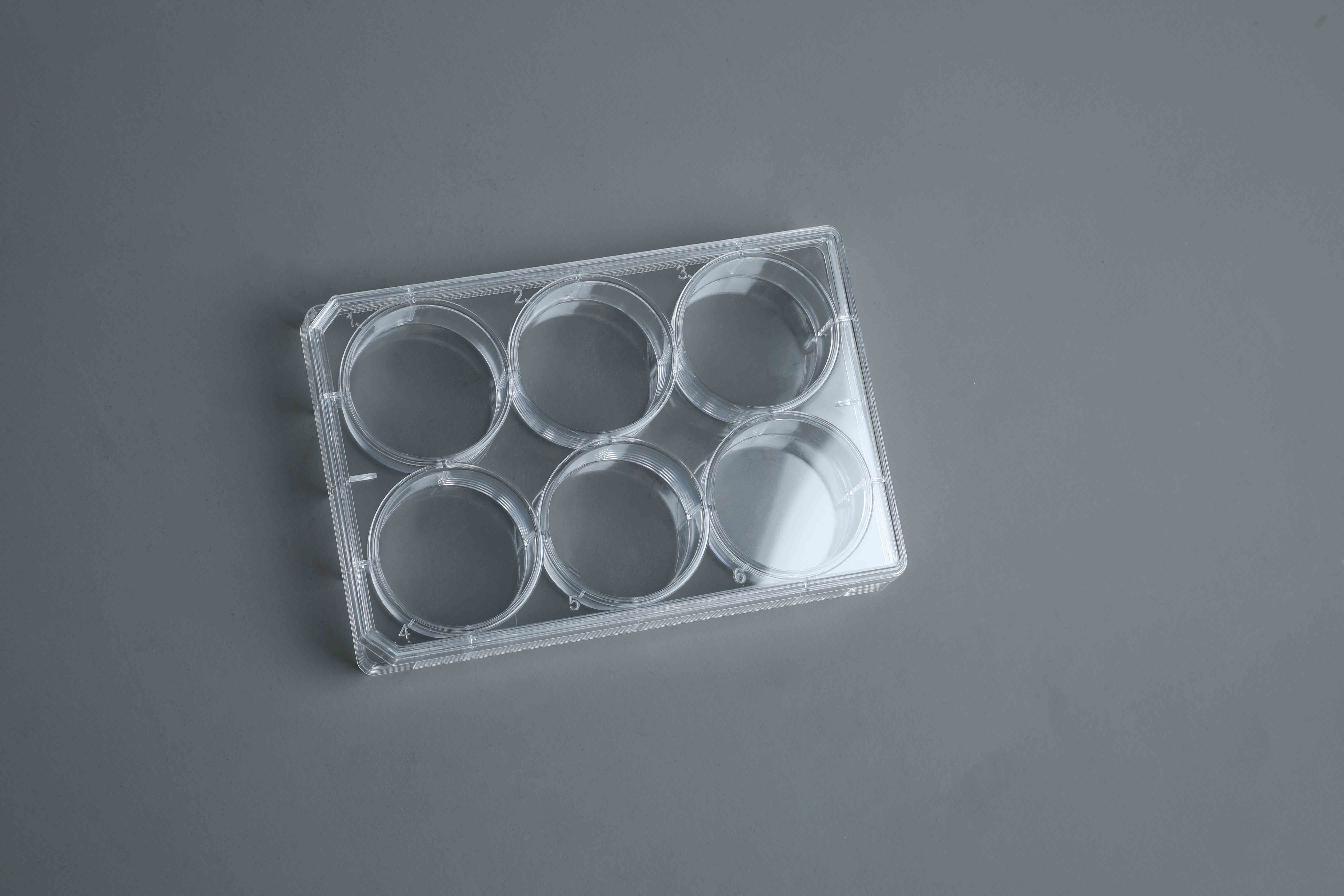 TC-Treated Cell Culture Plate customer view 16