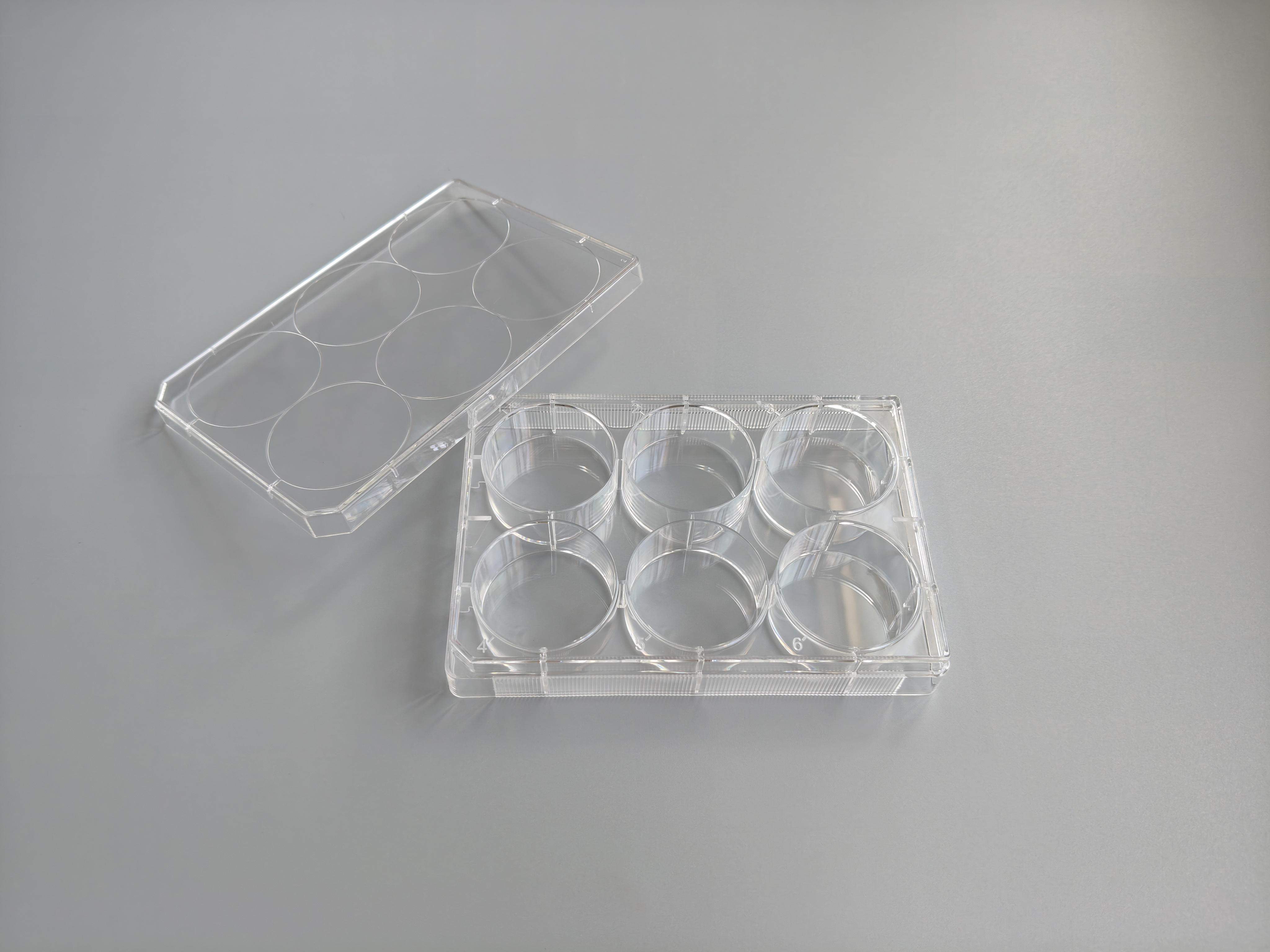 TC-Treated Cell Culture Plate customer view 23