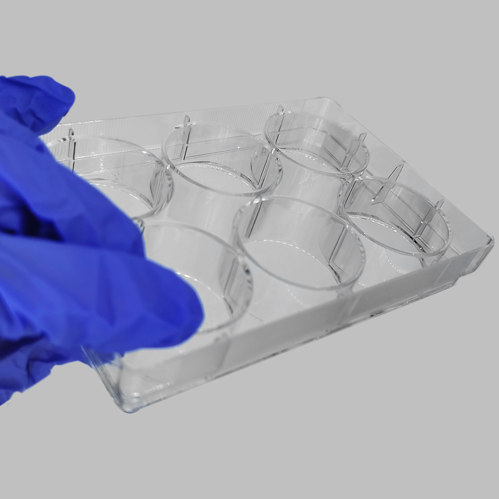 TC-Treated Cell Culture Plate customer view 2