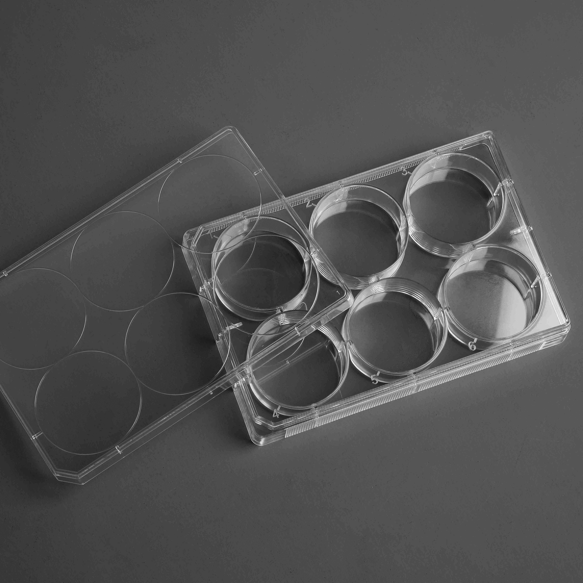 TC-Treated Cell Culture Plate customer view 10
