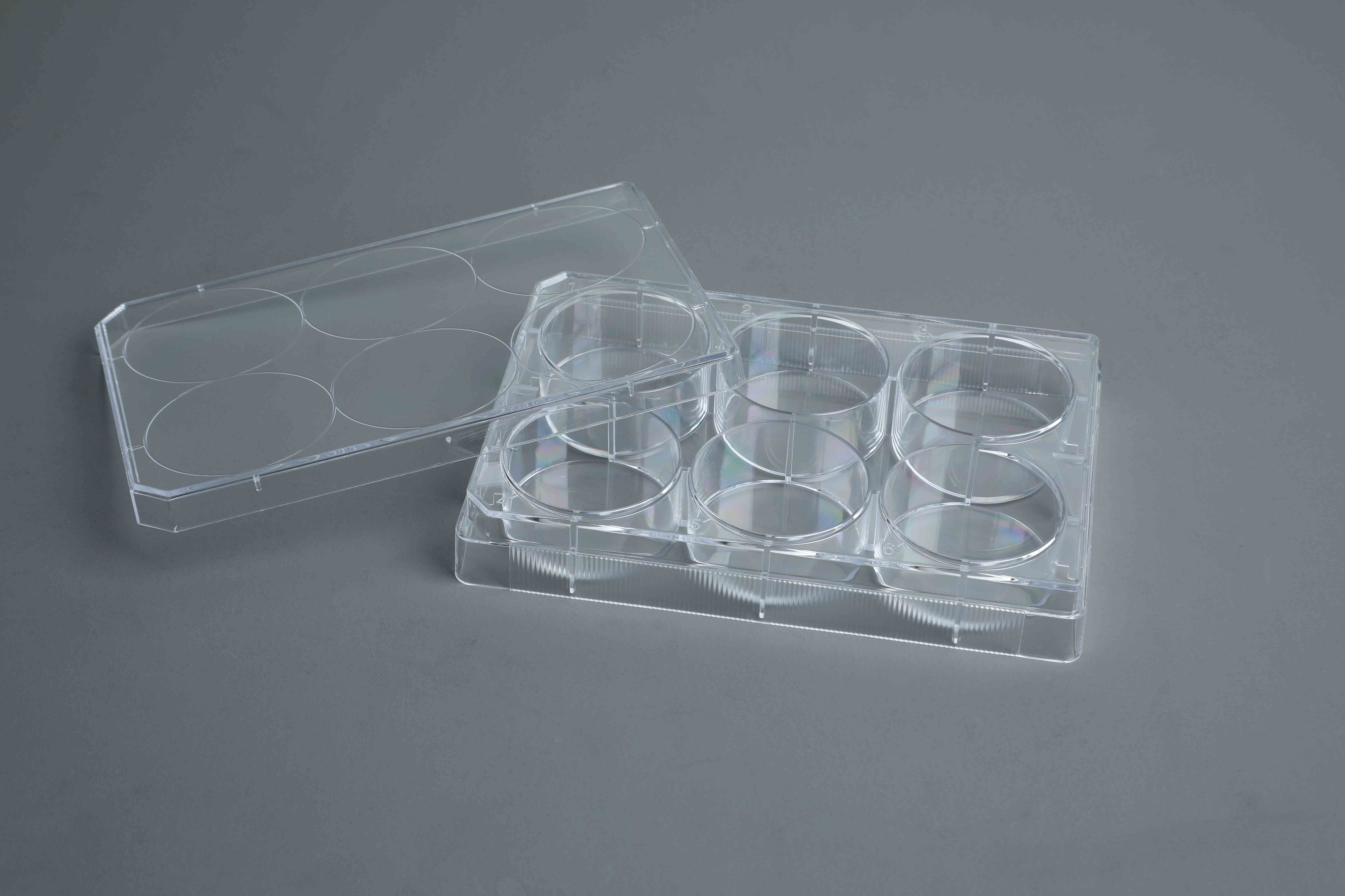TC-Treated Cell Culture Plate customer view 19