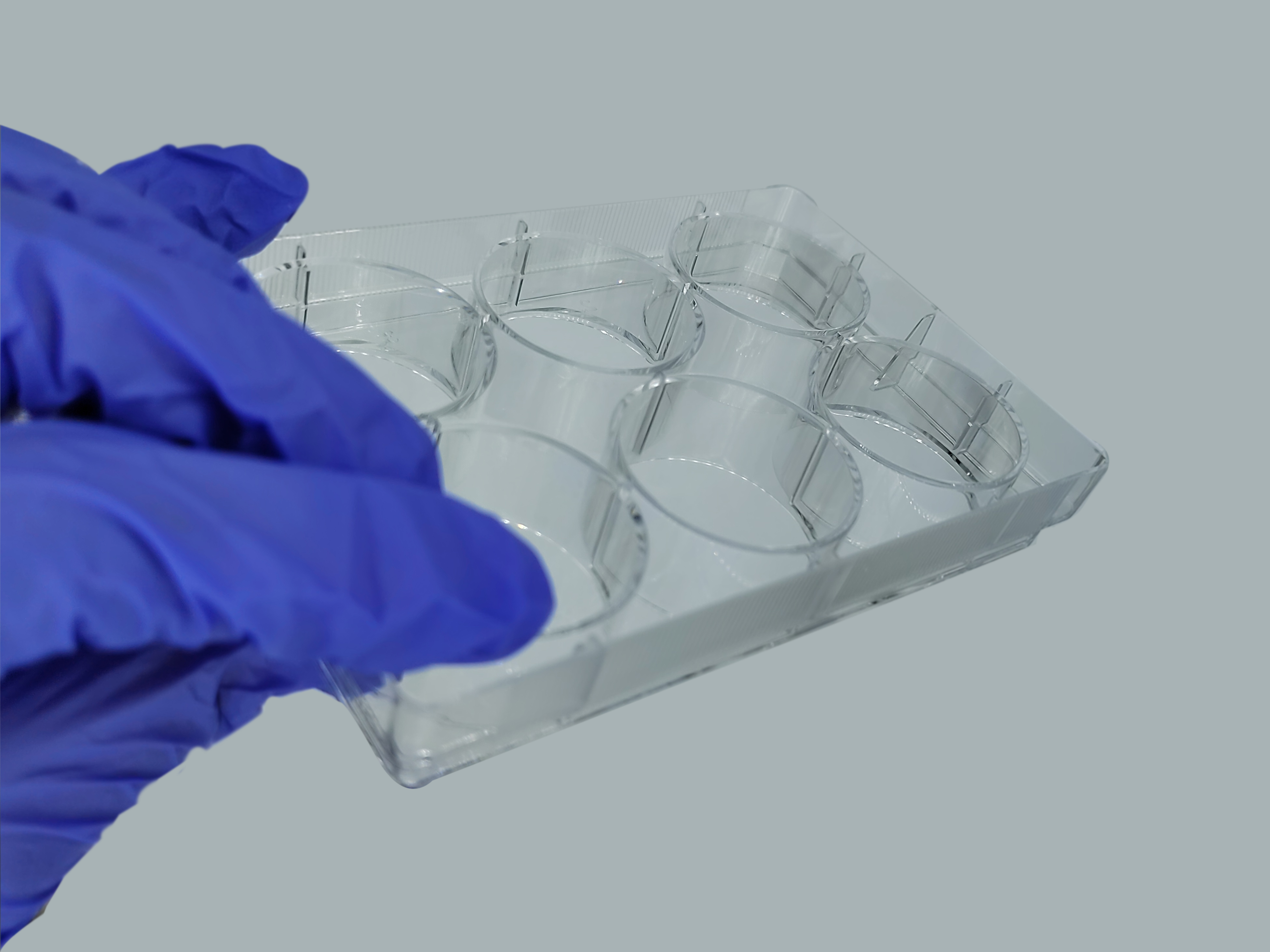 TC-Treated Cell Culture Plate customer view 22