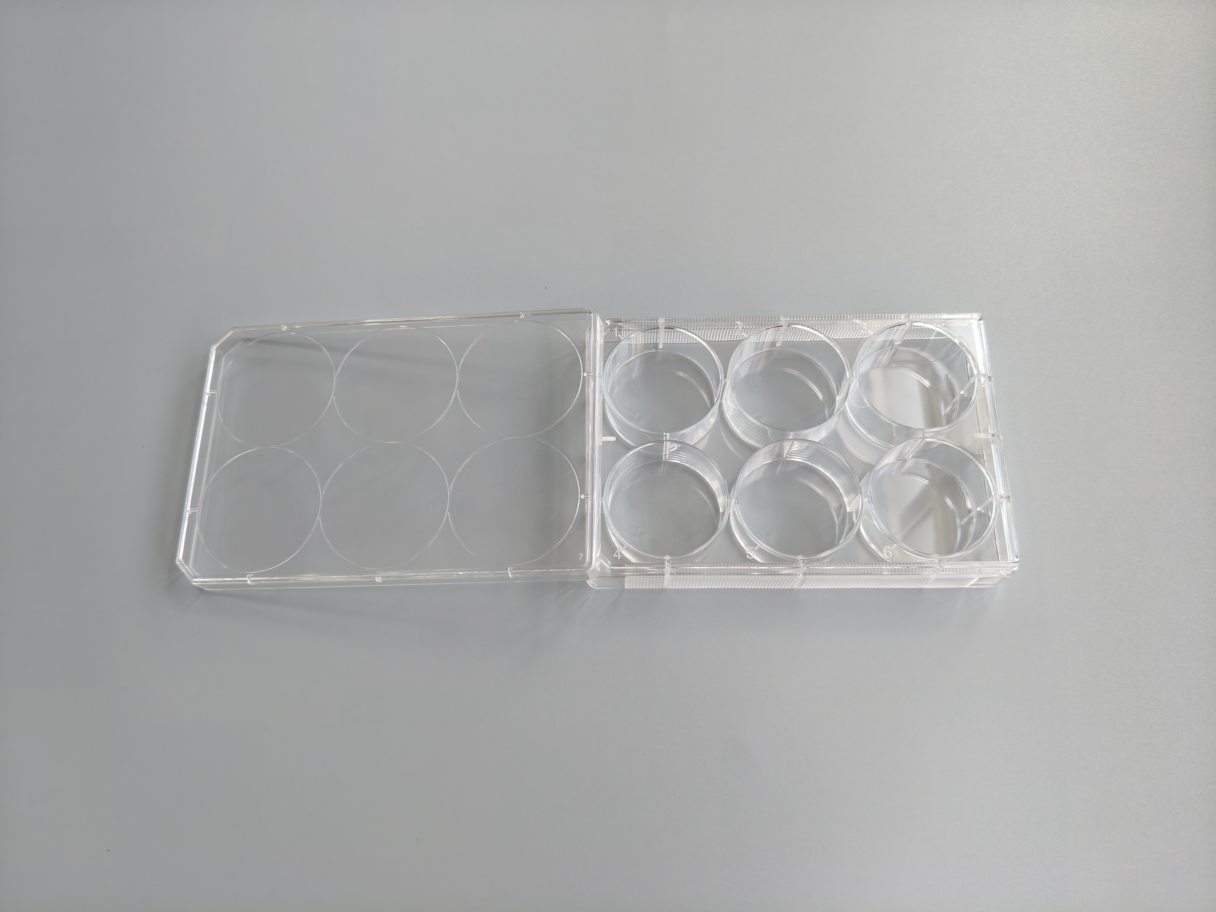 TC-Treated Cell Culture Plate customer view 14