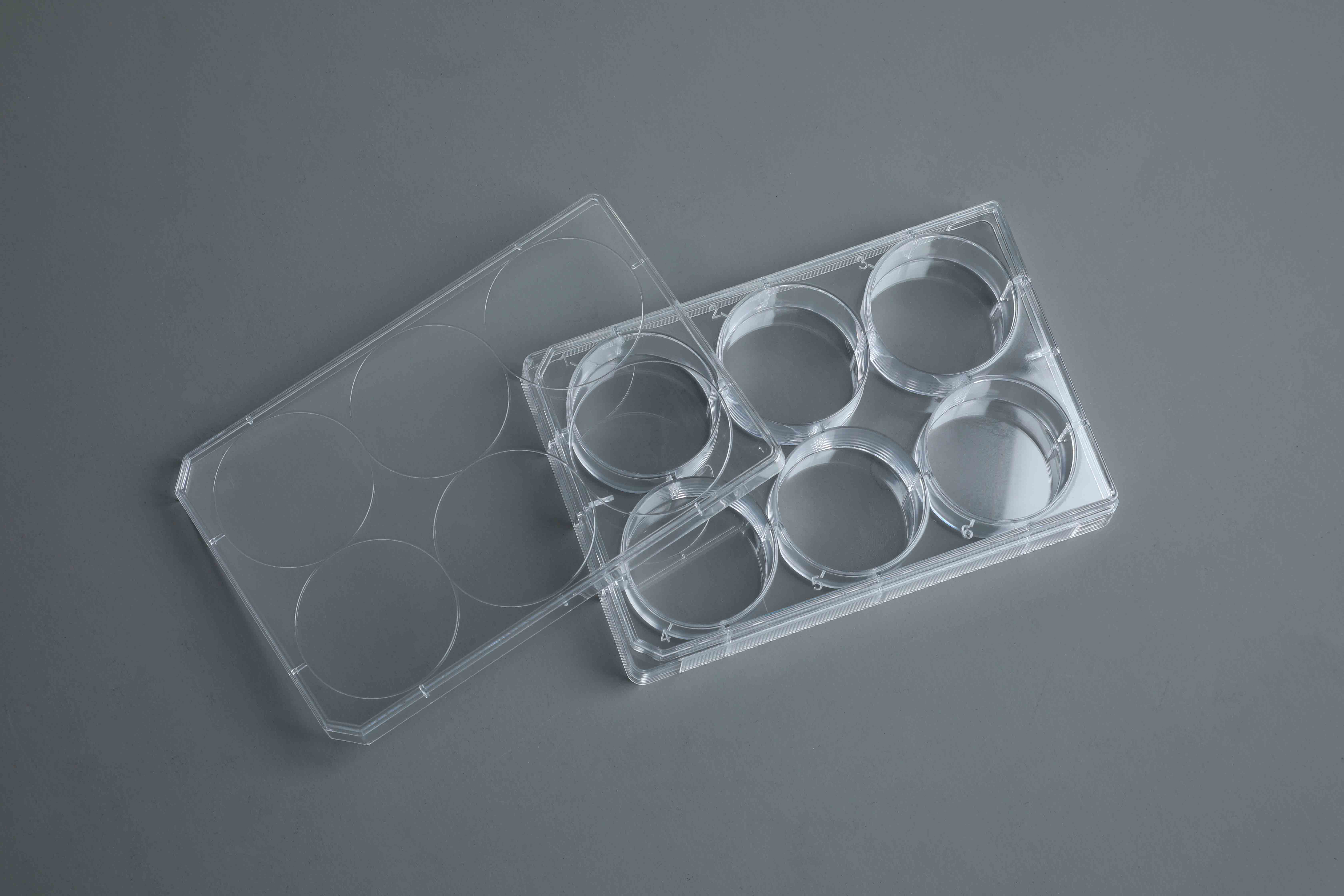 TC-Treated Cell Culture Plate customer view 17
