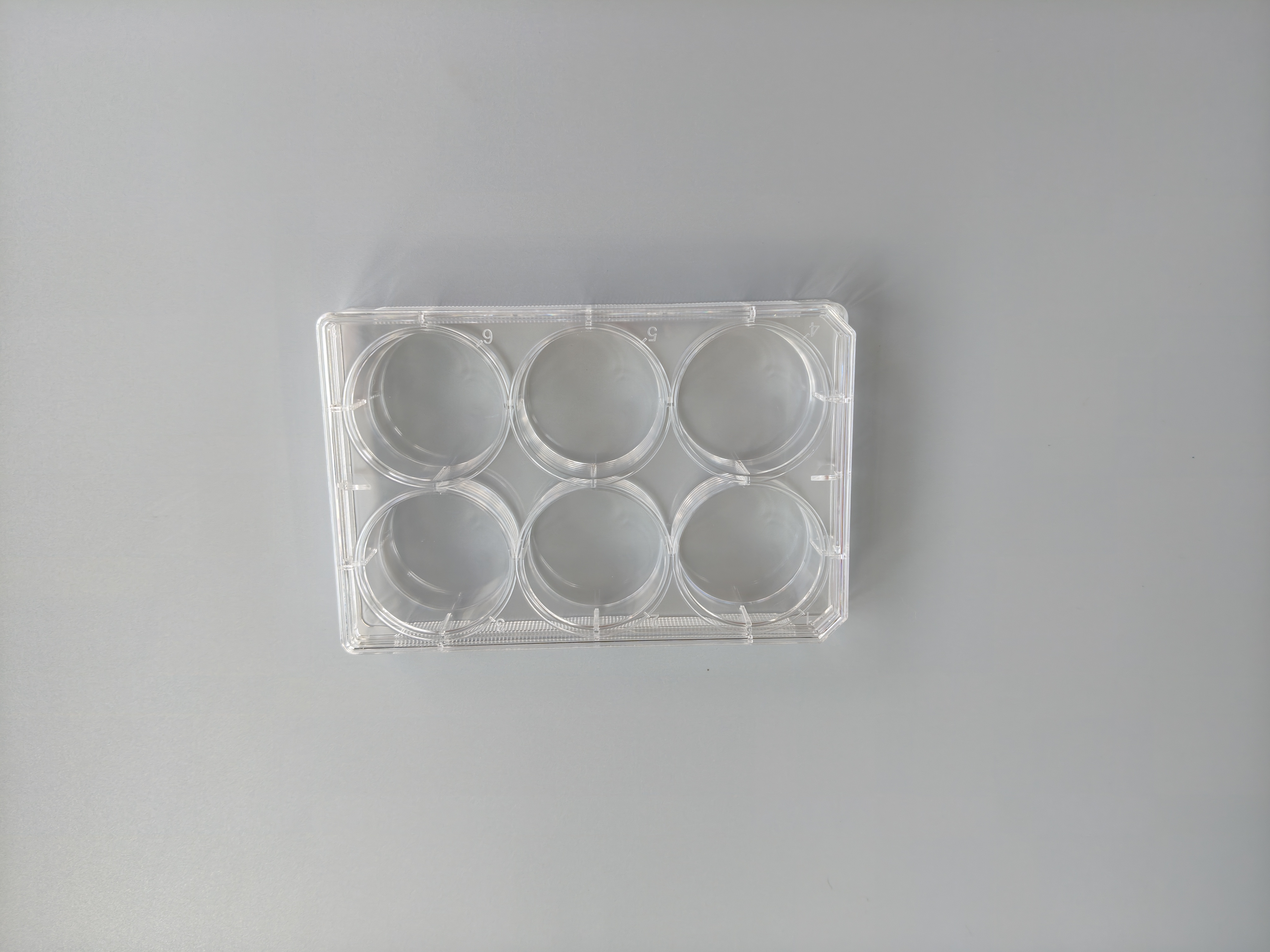 TC-Treated Cell Culture Plate customer view 26
