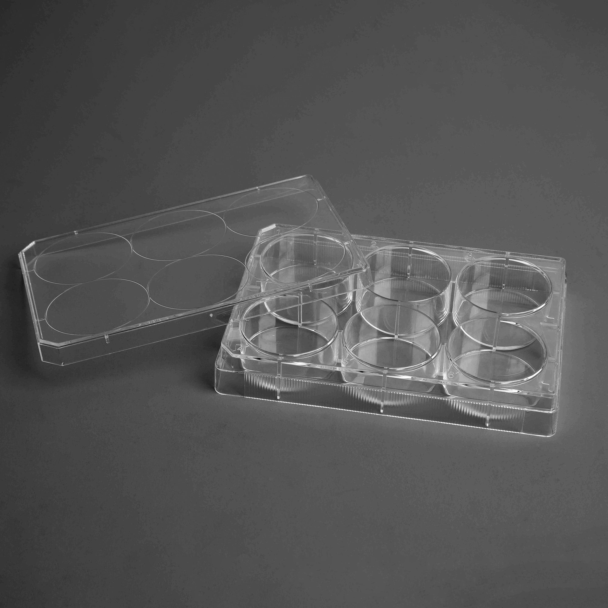 TC-Treated Cell Culture Plate customer view 12